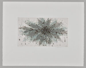 fern-gm-1, 2015, printed 2021. Seiko Tachibana (Japanese, 1946-). Intaglio, etching, aquatint and spitbite on Rives BFK paper; final print, BAT, and 3 color proofs; platemark: 20.2 x 35.2 cm (7 15/16 x 13 7/8 in.); sheet: 49.7 x 66.2 cm (19 9/16 x 26 1/16 in.)