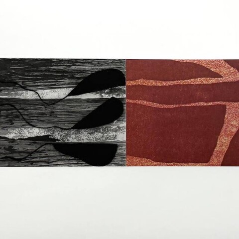 Dominique Labauvie, Swimmers II, 2025, 16 X 25.5 in. Photogravure, Drypoint, woodcut and lithograph chine collé to Somerset. Monoprint. Unique.