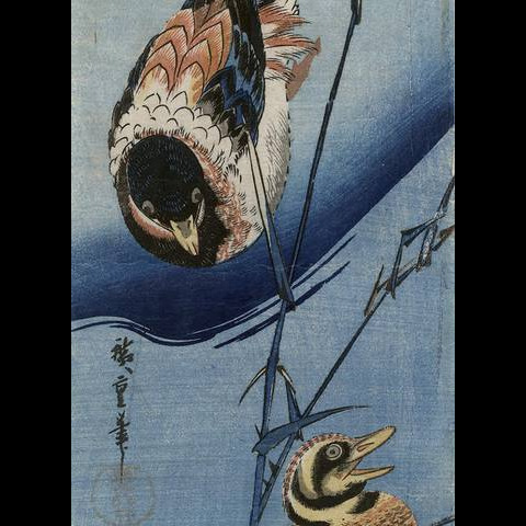 Ando Hiroshige, Ducks and Reeds, color woodcut, 1830-1839