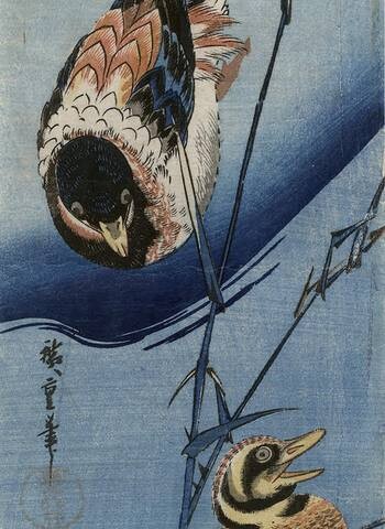 Ando Hiroshige, Ducks and Reeds, color woodcut, 1830-1839